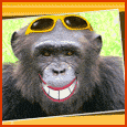 Home : Friendship : Smile - Say Cheeese!