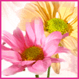 Home : Friendship : Smile - I Smile When I Think Of You!