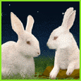 Home : Friendship : Friendship Etc - Wishing On Stars!