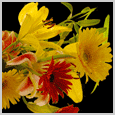 Home : Friendship : Friendship Etc - Thinking of You...