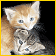 Home : Friendship : Hugs & Caring - I'll Be There For You Always!