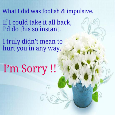 Home : Friendship : Sorry - If Sorry Can Change Things For Us.